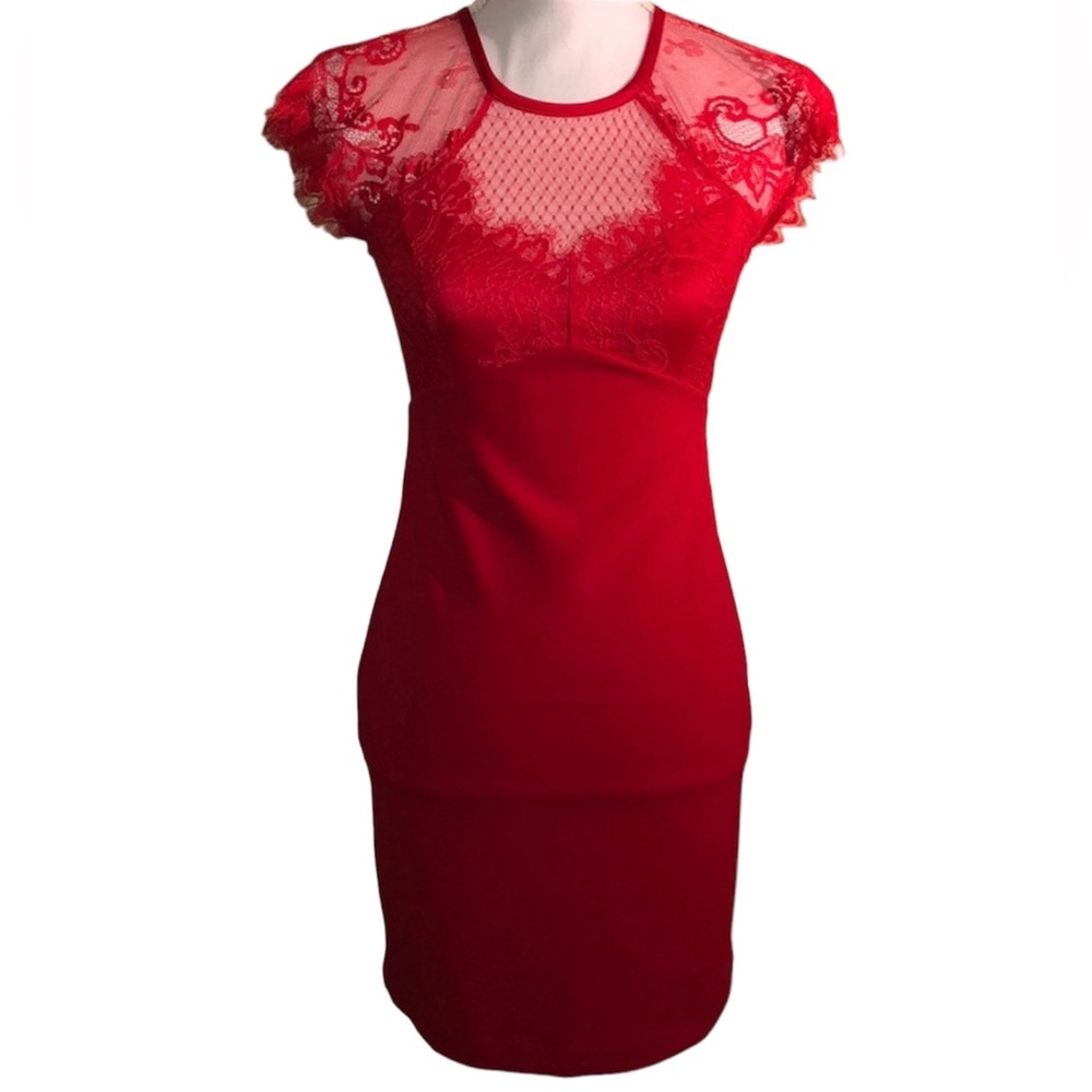 EXPRESS Red Fitted Lace High Neck Formal Dress